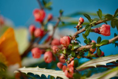 Güzel çiçekleri olan orijinal modern çiçek kompozisyonu.