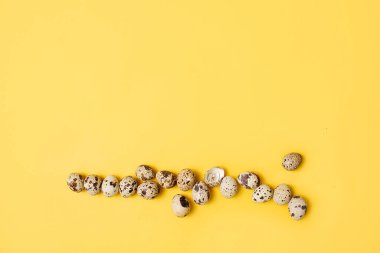 Sarı arka planda Paskalya yumurtası. Ağacın doğal dalı ve selamlama metni için yeri var.