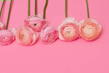 Pembe arka planda pembe çiçekli tebrik kartı.