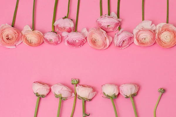 greeting card with pink flowers on pink background with place for the text