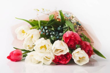 Beyaz arka planda bir buket lale çiçeği. Kutlama için çiçekler, tebrikler..