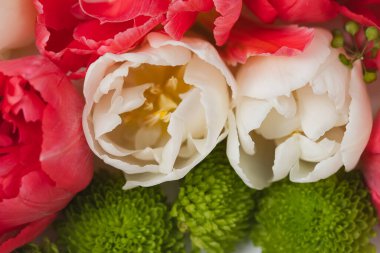 Düz arkaplanda tasarlanmış çok renkli lale çiçeklerinin tasarımı