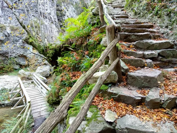 Pista Los Arrudos, Parque Natural de Redes, Municipio Caso, Asturias, España —  Fotos de Stock