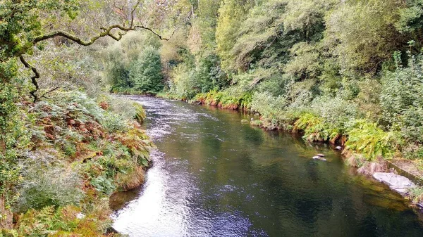 Río Entre Asturias Galicia Cerca Del Pueblo San Tirso Abres —  Fotos de Stock