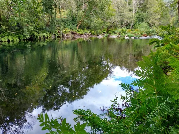 Rivier Tussen Asturias Galicië Buurt Van San Tirso Abres Dorp — Stockfoto