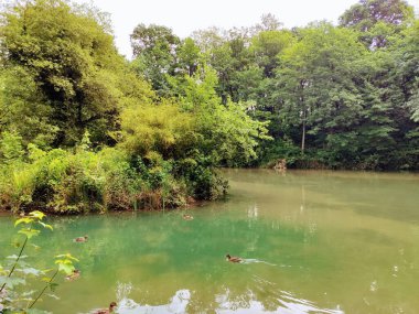 La Cebera Parkı, Lugones şehri, Siero belediyesi, Asturias, İspanya