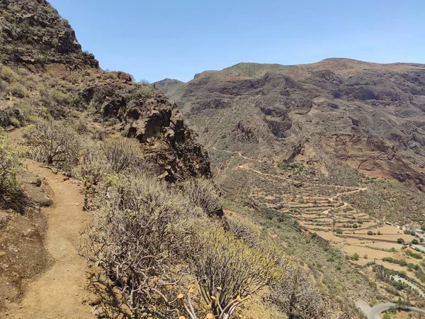 Die Schlucht Barranco de Guayadeque, Insel Gran Canaria, Spanien — Stockfoto