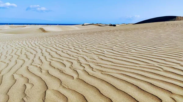 Panorama de las impresionantes dunas de arena en la Reserva Natural de las Dunas de Maspaloma en la isla de Gran Canaria, Islas Canarias, España — Foto de Stock