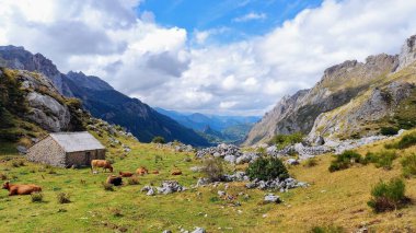 Somiedo Doğal Parkı 'ndaki tipik kulübeler, Asturias, İspanya