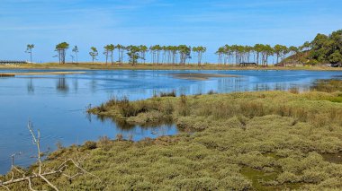 La Poza natural area next to Navia beach, Navia, Asturias, Spain