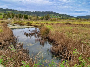 Ria de Villaviciosa Bataklıkları Kısmi Doğa Koruma Alanı, Villaviciosa Köyü, İspanya