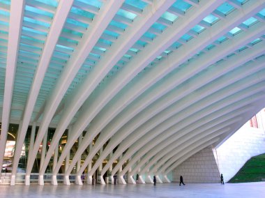 Santiago Calatrava 'nın Oviedo Şehri Kongre Sarayı Konferans ve Sergi Merkezi, Oviedo, İspanya
