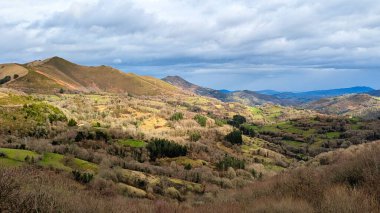 Sierra del Pedrorio, Asturias, İspanya ve Avrupa 'nın Grado belediyesine bağlı bir sıradağdır.