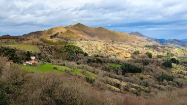 Sierra del Pedrorio, Asturias, İspanya ve Avrupa 'nın Grado belediyesine bağlı bir sıradağdır.