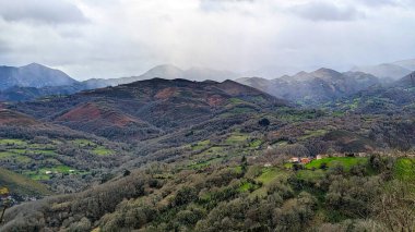 Vio del Pico köyü, Grado belediyesi, Asturias, İspanya, Avrupa