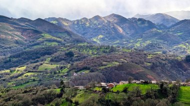 Vio del Pico köyü, Grado belediyesi, Asturias, İspanya, Avrupa