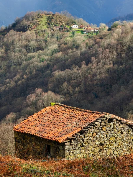 Belmonte de Miranda Council, Asturias, İspanya 'daki Castanera köyü yakınlarındaki çobanların barakaları.