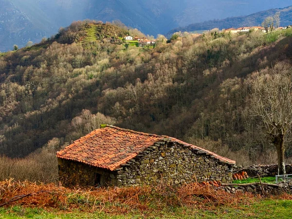 Belmonte de Miranda Council, Asturias, İspanya 'daki Castanera köyü yakınlarındaki çobanların barakaları.