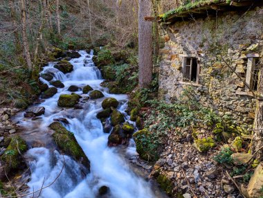 La Rebollada köyü, Somiedo Doğal Parkı ve Biyosfer Rezervi, Asturias, İspanya, Avrupa yakınlarındaki bir dere.