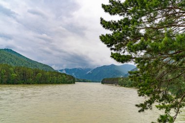 Altai Bölgesindeki Katun Nehri,