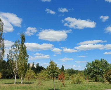 Güneşli parkta mavi gökyüzü
