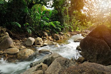 TA-PEE Nehri, 2016 'nın en değerli suyu, Khao Luang Milli Parkı, Phipun Bölgesi, Nakhon Si Thammarat, Tayland