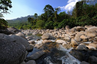 TA-PEE Nehri, 2016 yılının en değerli suyu, Khao Luang Milli Parkı, Phipun Bölgesi, Nakhon Si Thammarat, Thalland