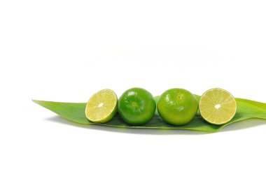 Yaprak beyaz arkaplan üzerindeki limon, seçici odak, Metin için boş alan