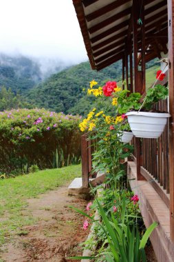 Kahvenin tipik bir evindeki renkli çiçekler dağları ve bahçeyi gören kültürel manzaralar.
