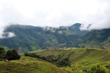 Dağ sırasının farklı manzaraları. İnekler ve ormanlar için otlaklar ve manzarayı çevreleyen heybetli bulutlar eşliğinde.