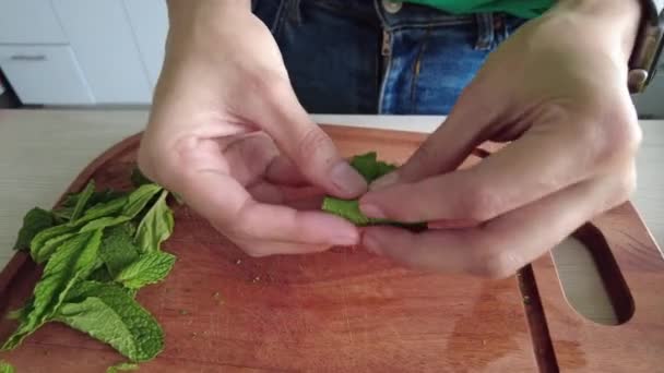 Женщина режет мяту, чтобы приготовить табуле — стоковое видео