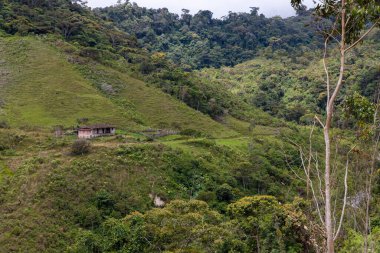 Eski bir çiftlik evi, orman ve otlakları olan dağ manzarası.