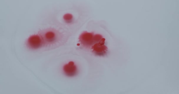 红色墨水滴在白色背景上 — 图库视频影像