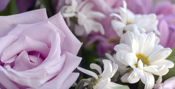 Blady róż i białe chryzantemy — Zdjęcie stockowe