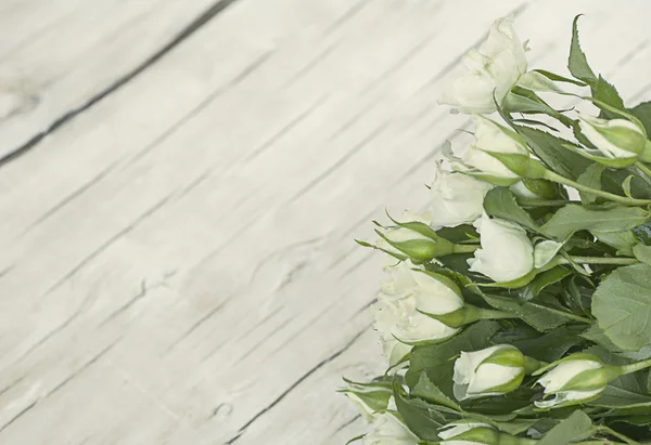 Ramo de flores de rosas blancas — Foto de Stock