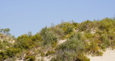  güneşin arka plan üzerinde kumlu plaj  