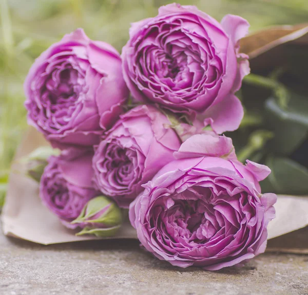 Ramo de rosas púrpuras pálidas — Foto de Stock