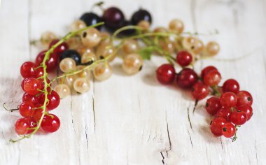 üç renk - kırmızı, beyaz ve siyah kuş üzümü vardır 