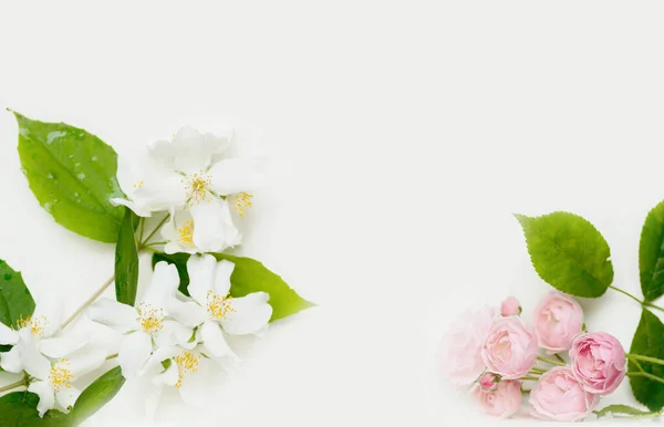 Fondo blanco aislado con flores de jazmín, rosa y valeriana — Foto de Stock