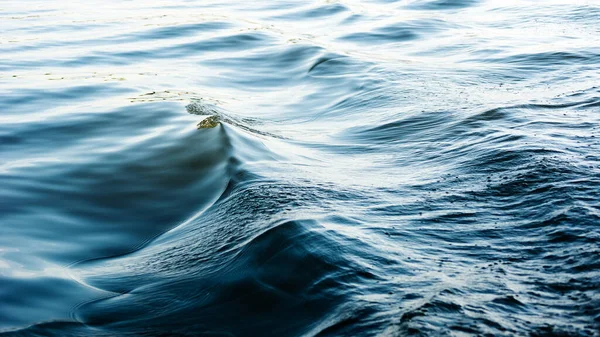 Flod Våg Rörelse Vatten Med Krön Och Bubblor Bakgrund — Stockfoto