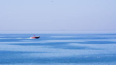 tekne, gemi ve martı ile deniz manzarası