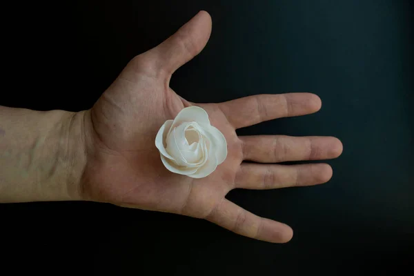 Avucunun içinde beyaz bir gül var..