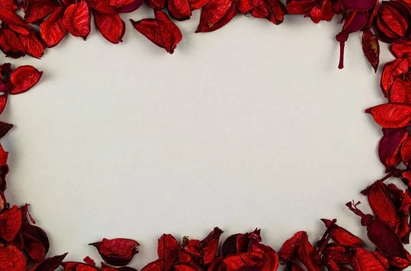 Beyaz arkaplanda kırmızı yapraklardan oluşan bir çerçeve.