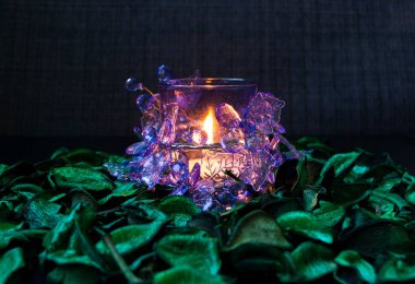 Mum yeşil yaprakların üzerinde duruyor..