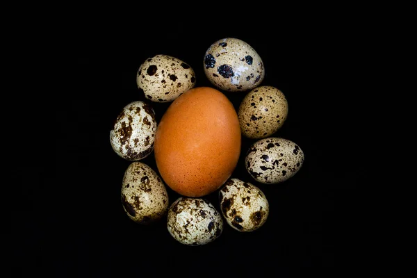 Tavuk yumurtası ve bıldırcın yumurtası..