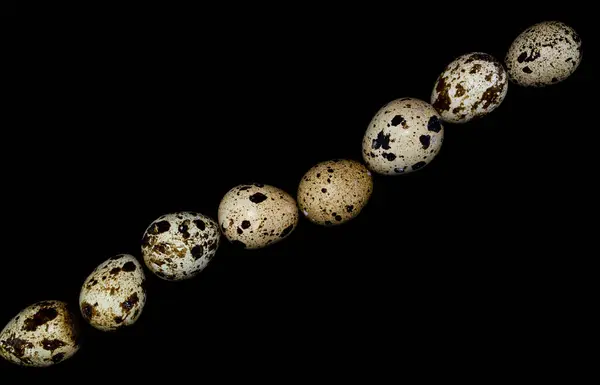 Siyah arka planda bıldırcın yumurtaları çapraz olarak bırakılır..