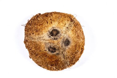 Beyaz arkaplanda hindistan cevizi kabuğu.