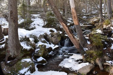 Ulusal park Harz. Şelale ve taşlar 2