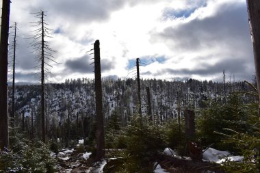 Ulusal park Harz. Kırık manzaralar