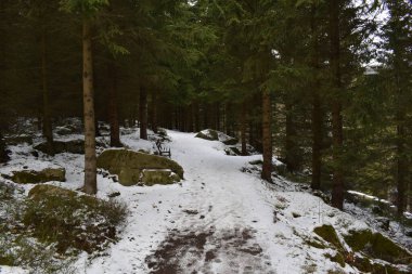 Ulusal Park Yolu Harz.